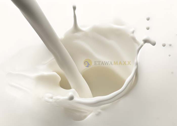 Kandungan Mineral Susu Kambing Etawa Untuk Kesehatan Tulang
