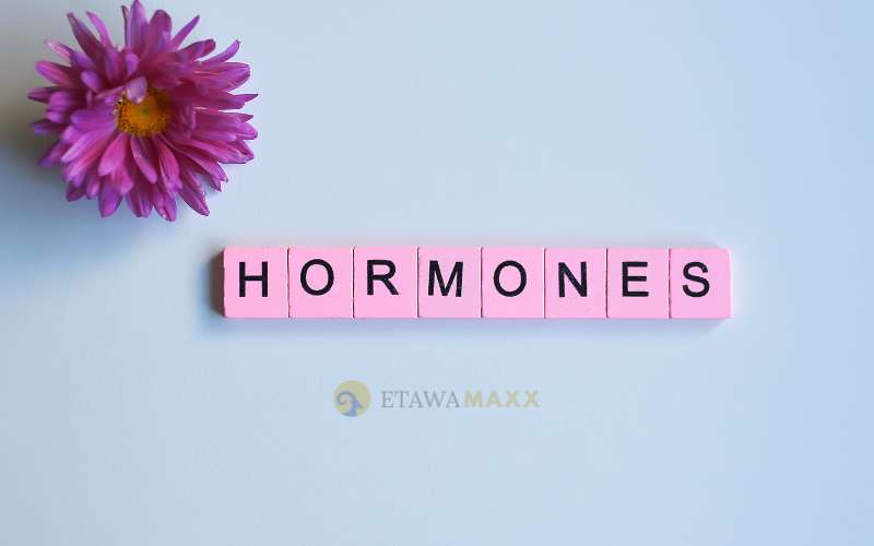 Pelajari cara mengatur hormon secara alami dengan nutrisi dari susu kambing etawa. Temukan manfaatnya untuk kesehatan hormon Anda!