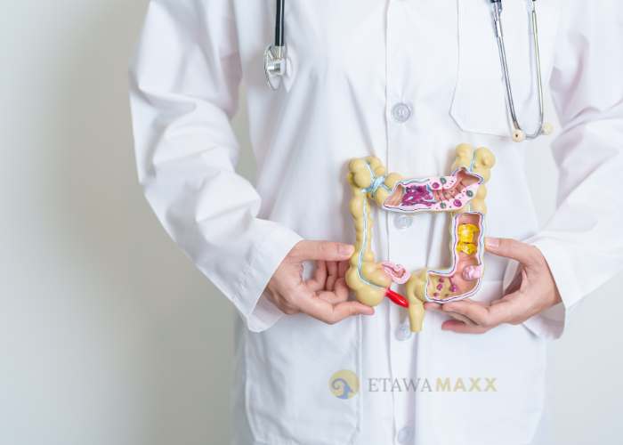 Susu Kambing Etawa sebagai Solusi untuk Masalah Pencernaan Sensitif